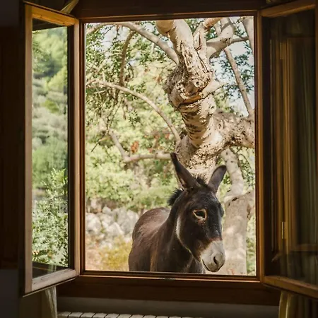 Casa Tramuntana Сasa de vacaciones