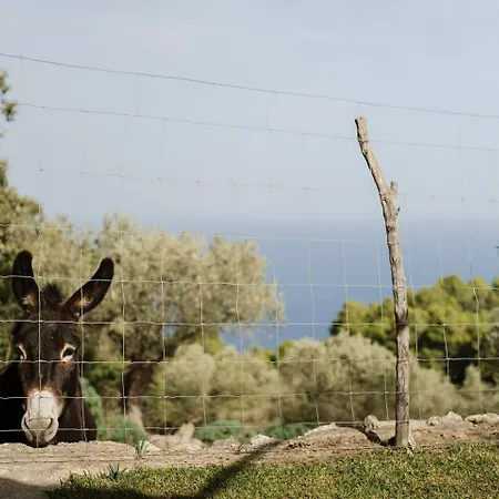 Ferienhaus Casa Tramuntana *