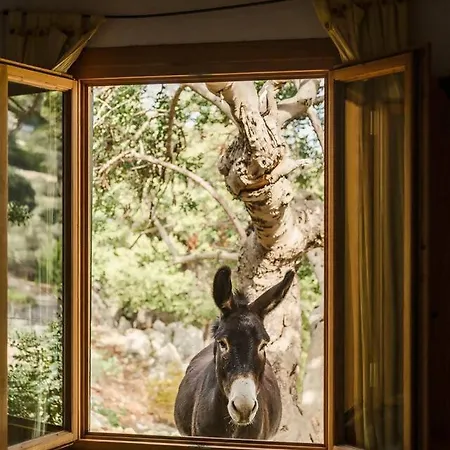 Casa Tramuntana Valldemossa (Mallorca)
